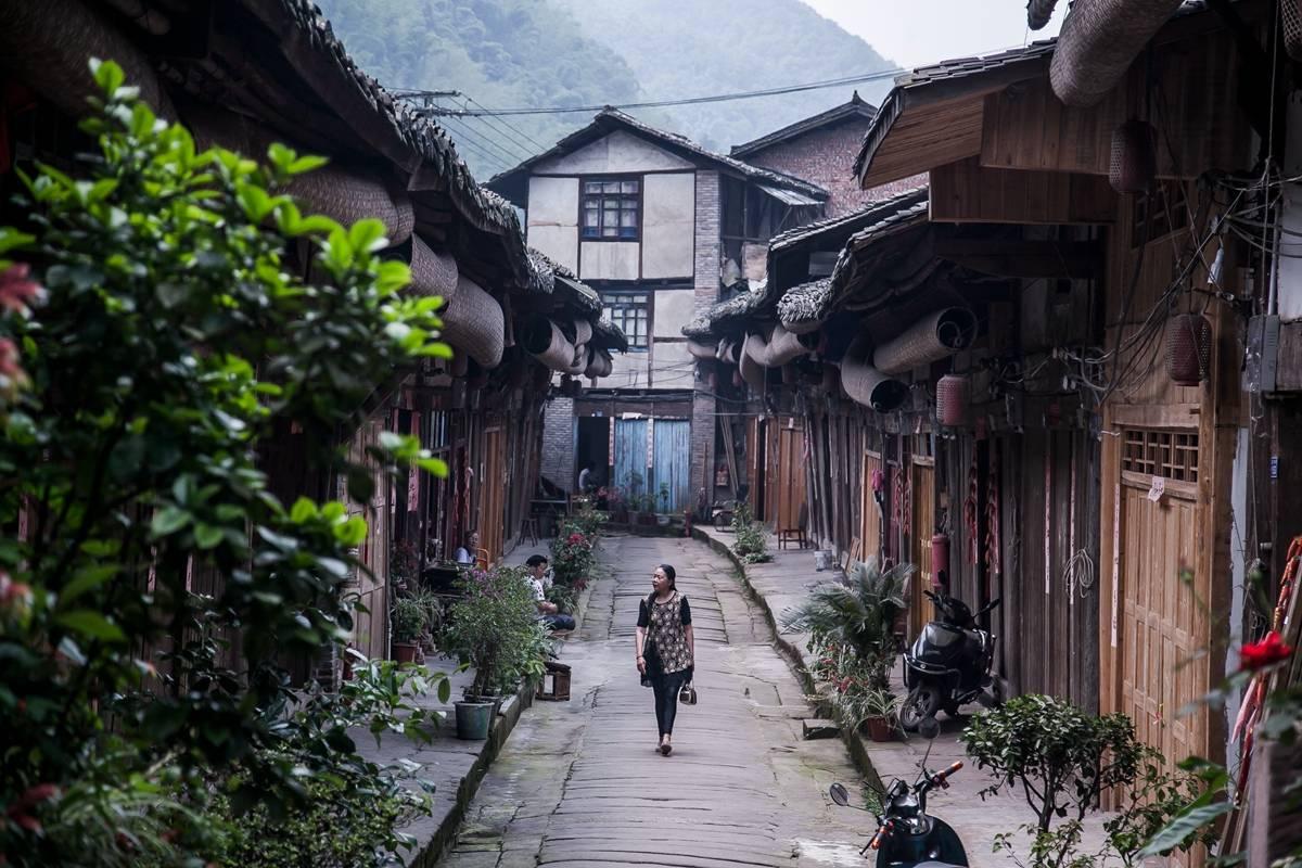 三年级科学运动、静止的物体有什么